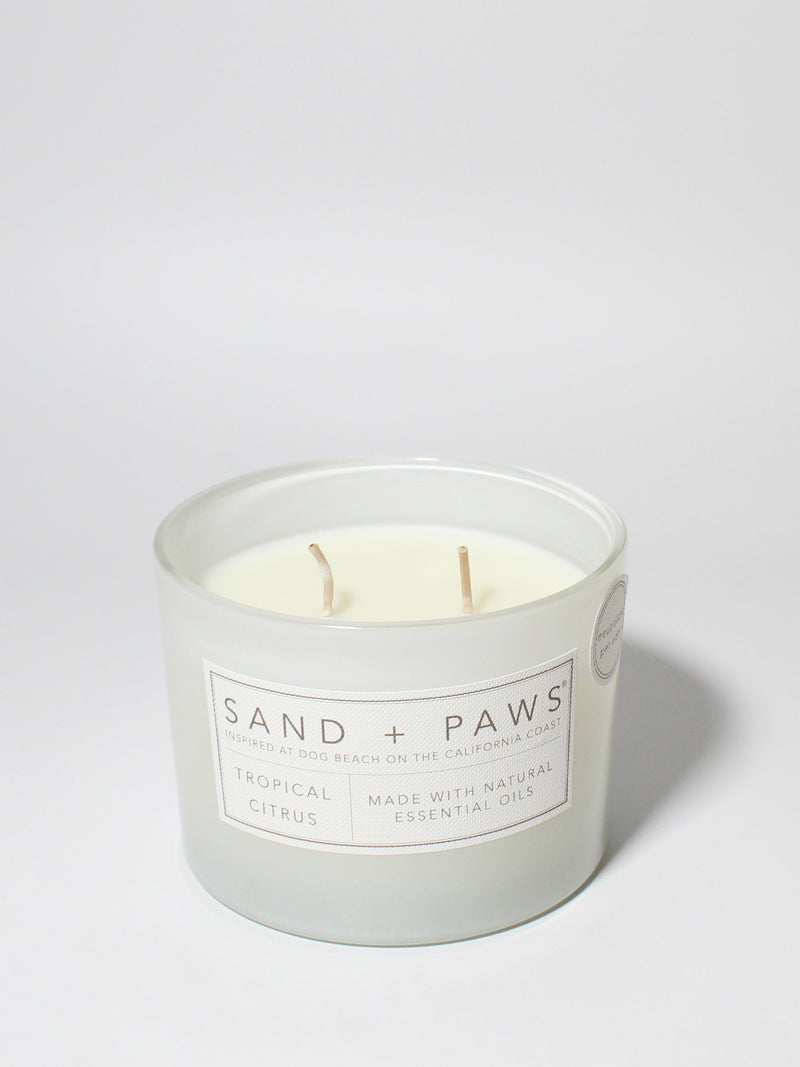 Sand + Paws Tropical Citrus 12 oz scented candle