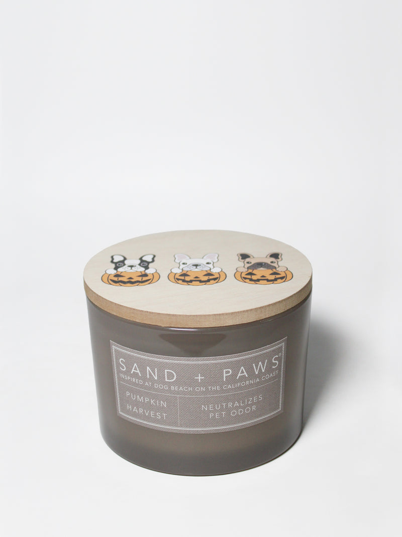 Sand + Paws Pumpkin Harvest 12 oz scented candle
