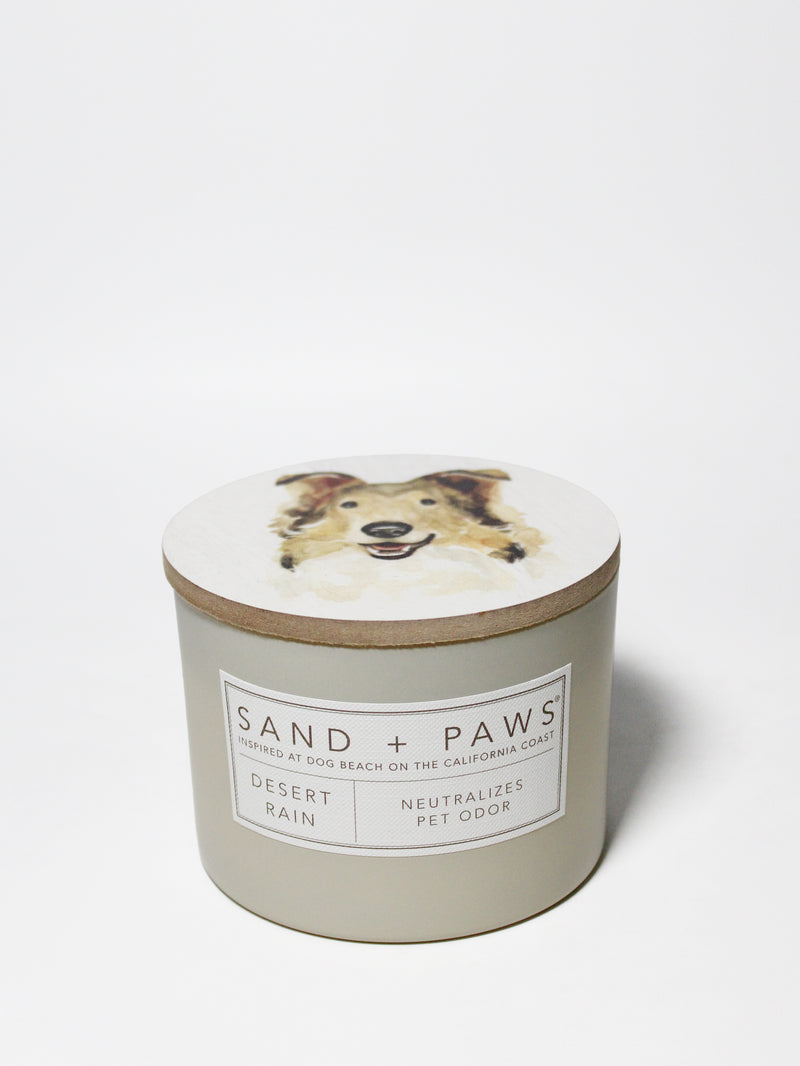 Sand + Paws Desert Rain 12 oz scented candle