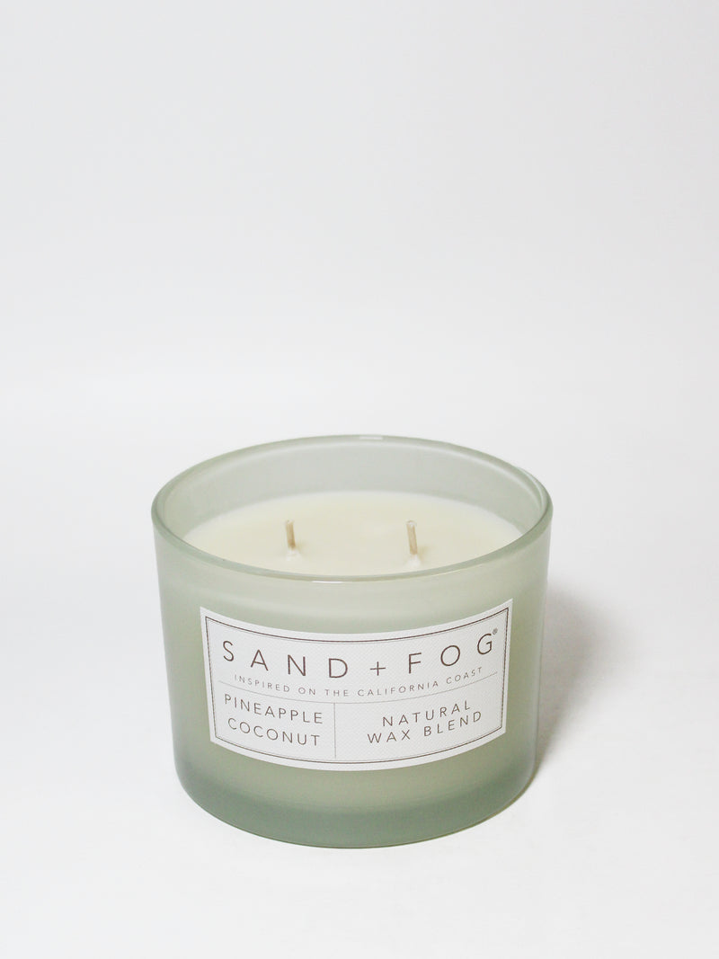 Pineapple Coconut 12 oz scented candle