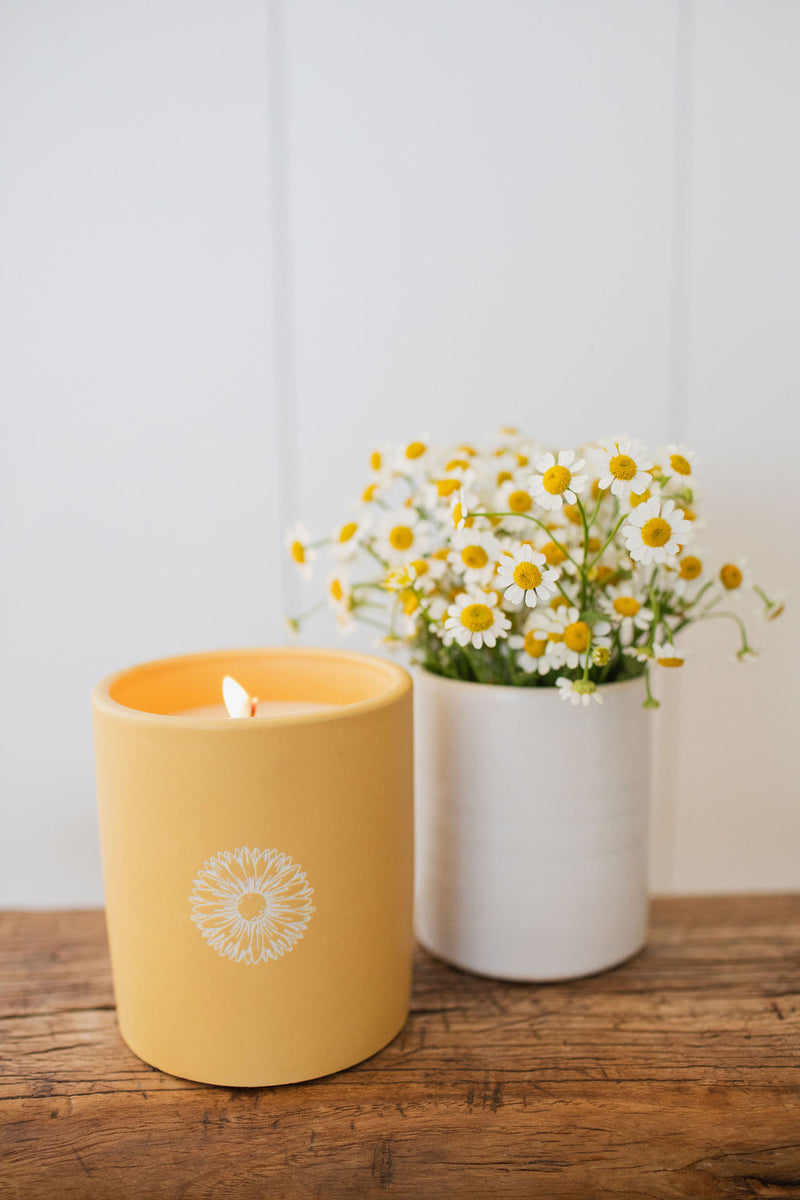 Sun Washed Citrus 12 oz scented candle
