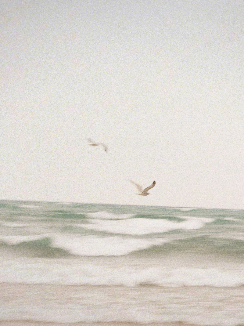Sand + Paws Clean Waves 12 oz scented candle