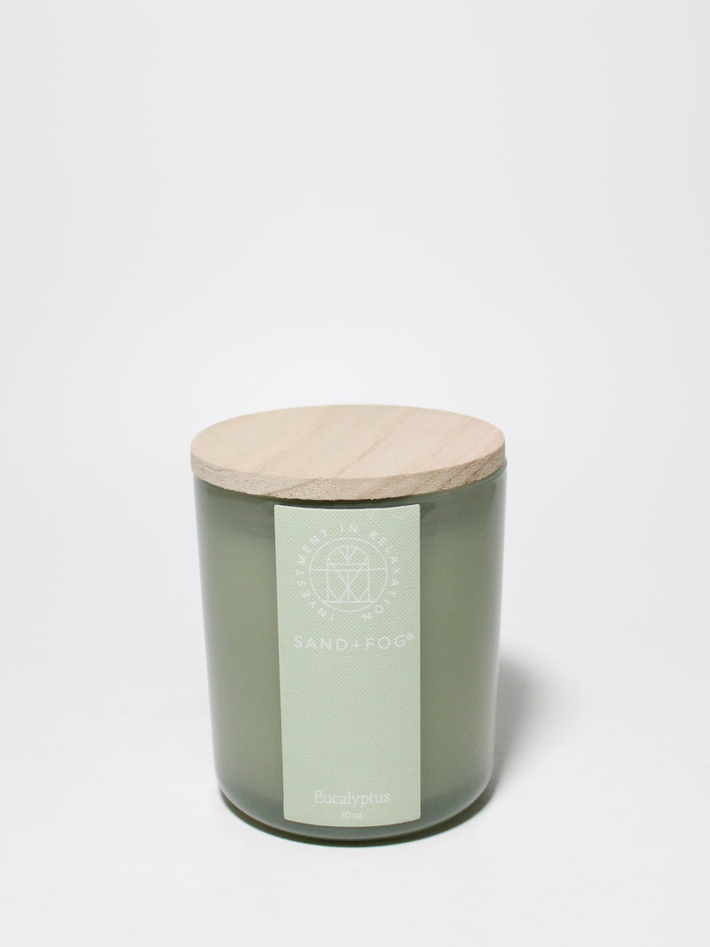 Eucalyptus 10 oz scented candle